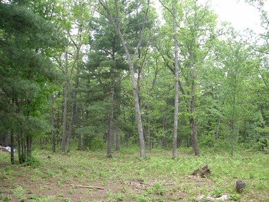 DSCF0105