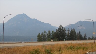 61 Fs Road 4832-3961, Snoqualmie Pass, WA 98068 - photo 2