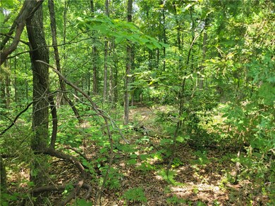 Tunnel Vision Trails across the street