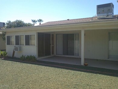 Silvertree backyard