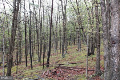 252 Secrist Rd, Lahmansville, WV 26731 - photo 6