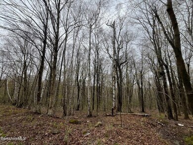 0 Manley Phelps Rd unit 73369553, Monroe, MA 01350 - photo 5