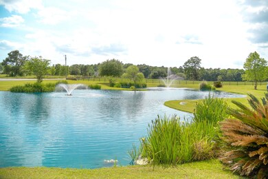 895 Hiawatha Farms Rd, Monticello, FL 32344 - photo 4