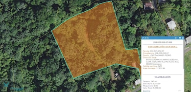 Km 9.2 Carr 352, Mayaguez, PR 00683 - photo 4