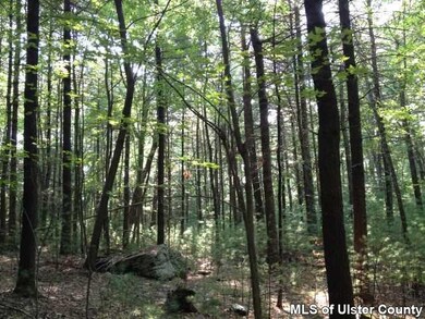 TBD Kripplebush Rd, Marbletown, NY 12404 - photo 5