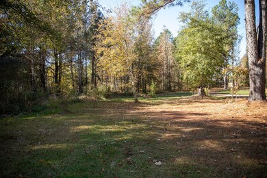 14285 Mississippi 503, Decatur, MS 39327 - photo 6