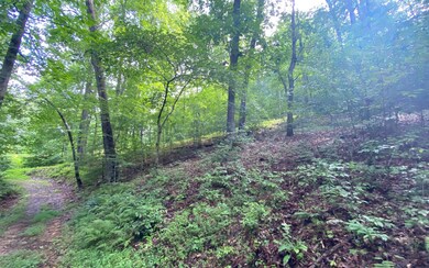 LOT 7 Mountain Field Dr, Blue Ridge, GA 30513 - photo 3