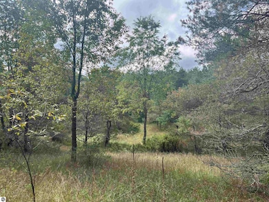 0 Maple City Hwy unit B, Lake Ann, MI 49650 - photo 5