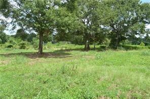 31227 Choctaw Hills Dr, Franklinton, LA 70438 - photo 3