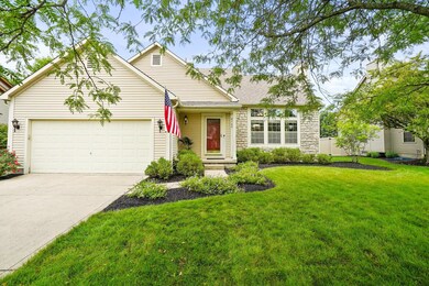 3-web-or-mls-DSC08206