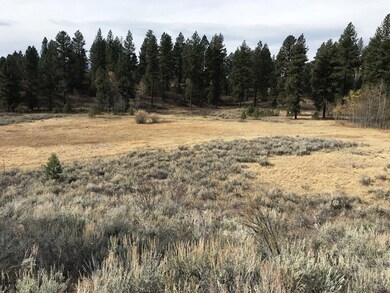 This Whole Meadow Will Be Yours