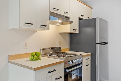 20 Knox St unit 43, Lawrence, MA 01841 - photo 6