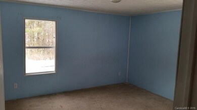 69 F H Justus Rd, Hendersonville, NC 28792 - photo 7