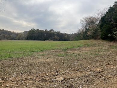 7 Booker Ridge Rd, Mount Pleasant, TN 38474 - photo 3