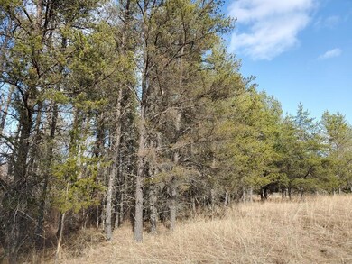 27548 S River Rd, Webb Lake, WI 54830 - photo 6