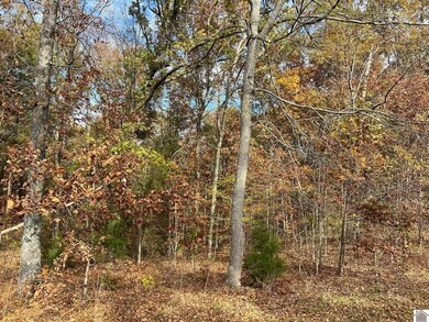 Lot 24 Haynes Cemetery Rd unit 1.09 acres The Point, Murray, KY 42071 - photo 2