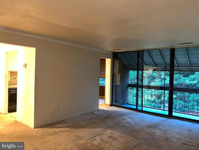 8709 Hayshed Ln unit 32, Columbia, MD 21045 - photo 5