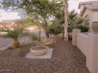 Front Landscaping