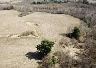 60 Acres Olesiak Rd, Weyerhaeuser, WI 54895 - photo 7