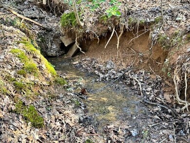 LT 3764R Eagle Mountain Dr, Ellijay, GA 30540 - photo 3