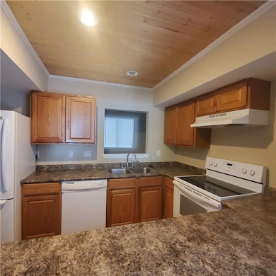 1603 Lemon Tree Ln, College Station, TX 77840 - photo 5