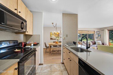 520 W Beaver Creek Blvd unit A103, Avon, CO 81620 - photo 4