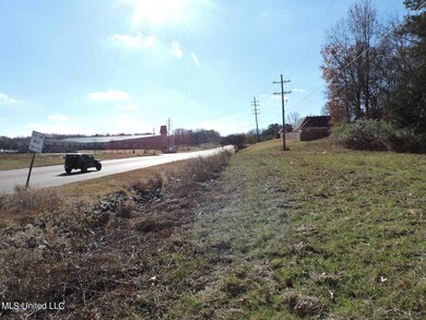 4875 Highway 305, Olive Branch, MS 38654 - photo 4