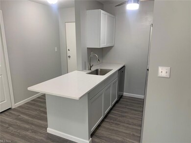 Kitchen with stainless steel dishwasher, light cou