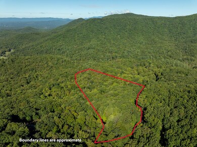 Lot 4 Wilderness Way, Ellijay, GA 30536 - photo 5