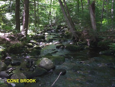 brook