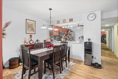 4704 Euclid Ave unit 1B, Rolling Meadows, IL 60008 - photo 5