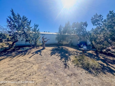 43 Road 3141, Aztec, NM 87410 - photo 2