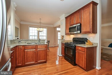 41939 Blue Flag Terrace unit 41939, Stone Ridge, VA 20105 - photo 7