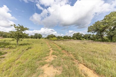 2500 Cool Jct, Millsap, TX 76066 - photo 4
