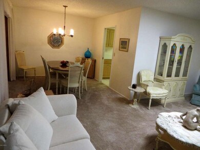 9913 W Caron Dr, Sun City, AZ 85351 - photo 5