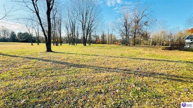 56 Lake of Woods Loop, Hardinsburg, KY 40143 - photo 7