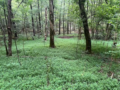 1360 Case Rd, Prospect, TN 38477 - photo 7