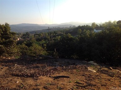 32733 Mesa Lilac Rd, Escondido, CA 92026 - photo 6