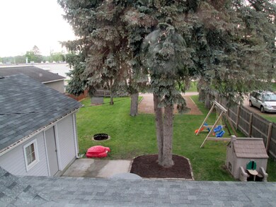 back yard2