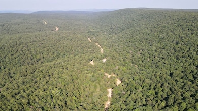 Flagpole Mountain Rd, Clayton, OK 74536 - photo 4