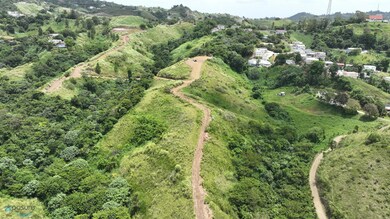 Carr 773 Km 2 6, Barranquitas, PR 00794 - photo 4