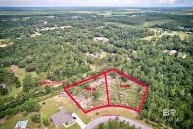 View of drone / aerial view