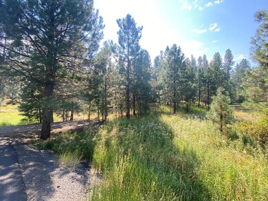 3955 Valley View Dr unit 18, New Meadows, ID 83654 - photo 5