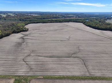 Oakview Rd, Modoc, IL 62261 - photo 6