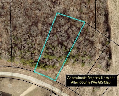 3688 E New Roe Rd, Adolphus, KY 42120 - photo 3