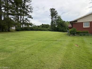 Back/side yard