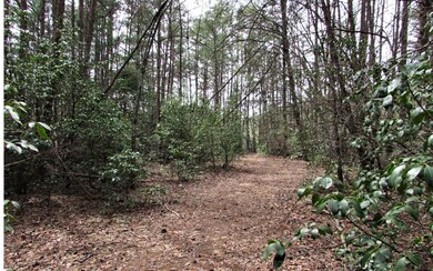 Additional View