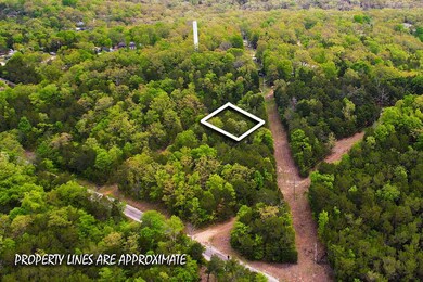 Tbd Catfish St & Drum St, Kissee Mills, MO 65680 - photo 3