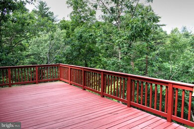 181 Roberts Run, Mount Jackson, VA 22842 - photo 4