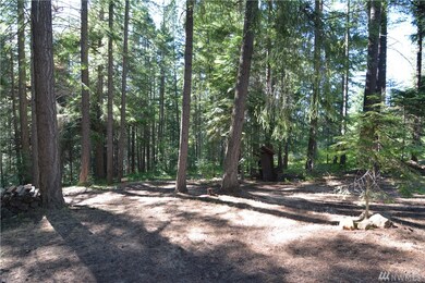 0 Bunker Rd, Ronald, WA 98922 - photo 2